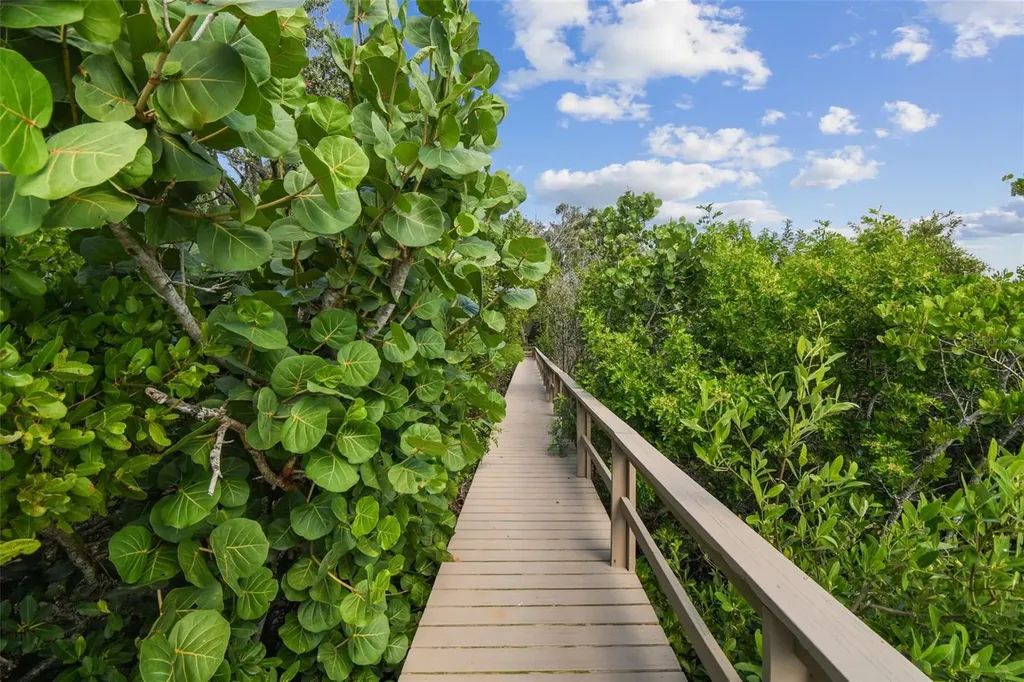 1705 Meyers Cove Drive Tarpon Springs FL 34689