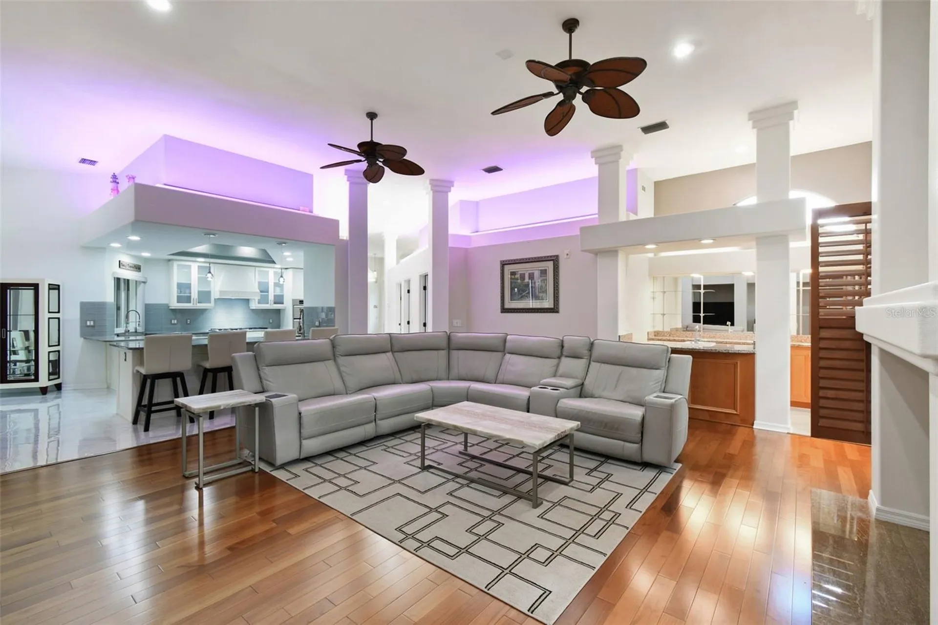 1705 Meyers Cove Drive Tarpon Springs FL 34689