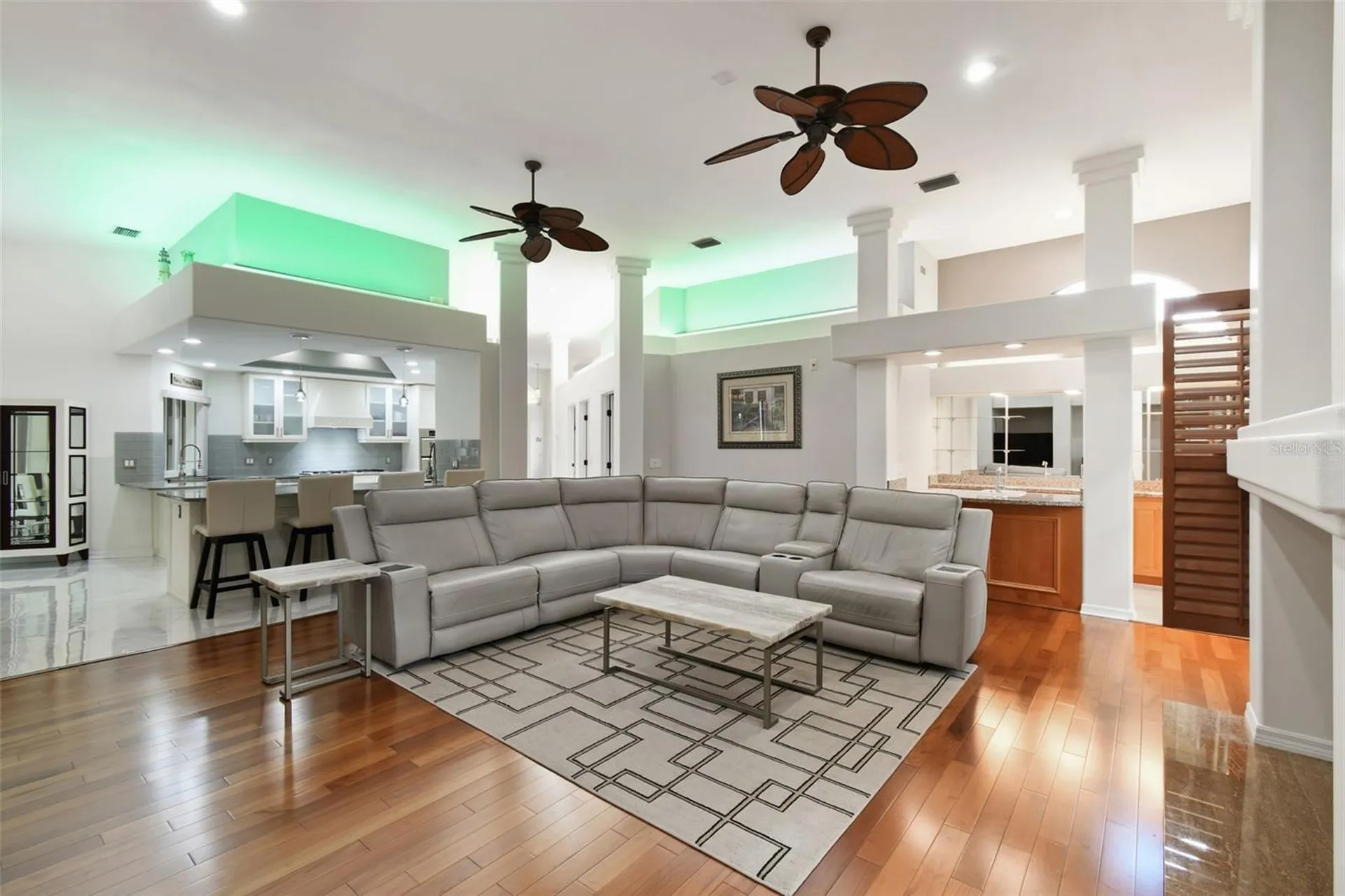 1705 Meyers Cove Drive Tarpon Springs FL 34689
