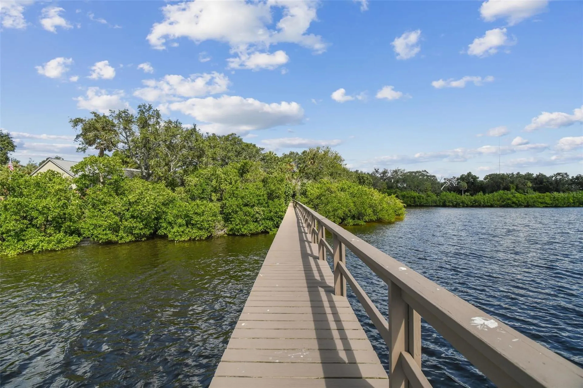 1705 Meyers Cove Drive Tarpon Springs FL 34689