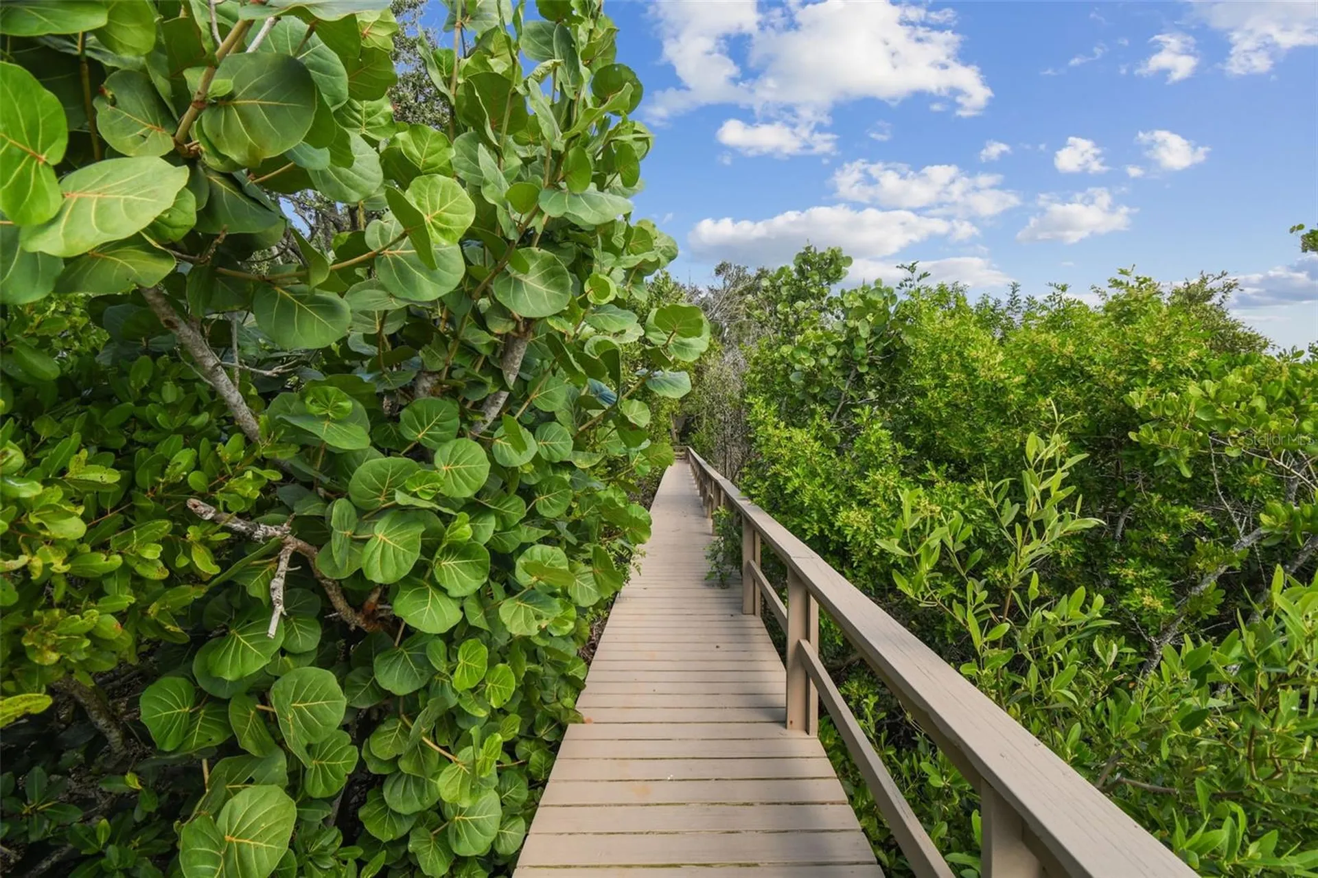 1705 Meyers Cove Drive Tarpon Springs FL 34689
