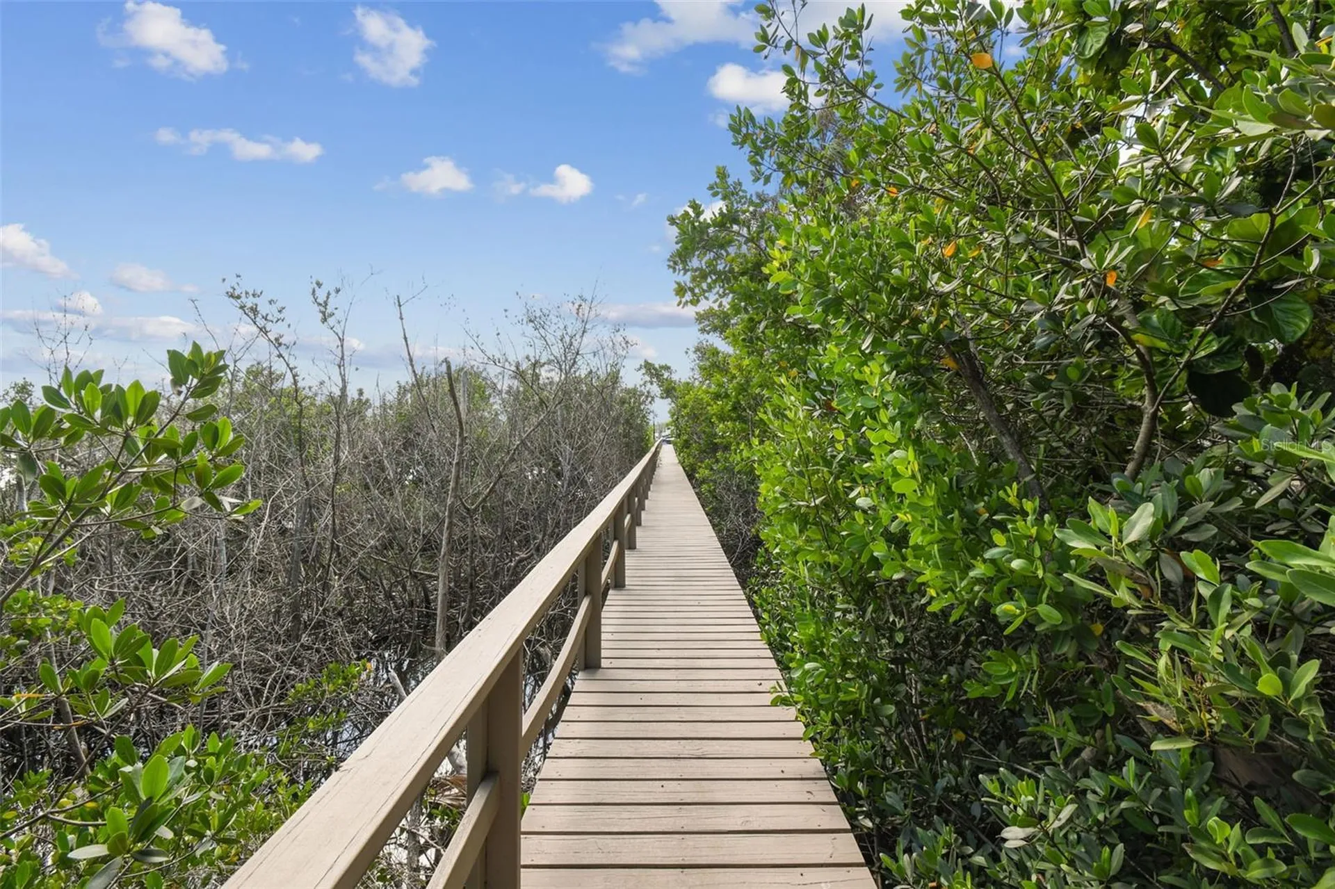 1705 Meyers Cove Drive Tarpon Springs FL 34689