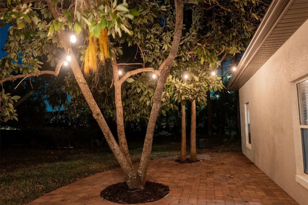 13734 Lake Cawood Drive Windermere FL 34786