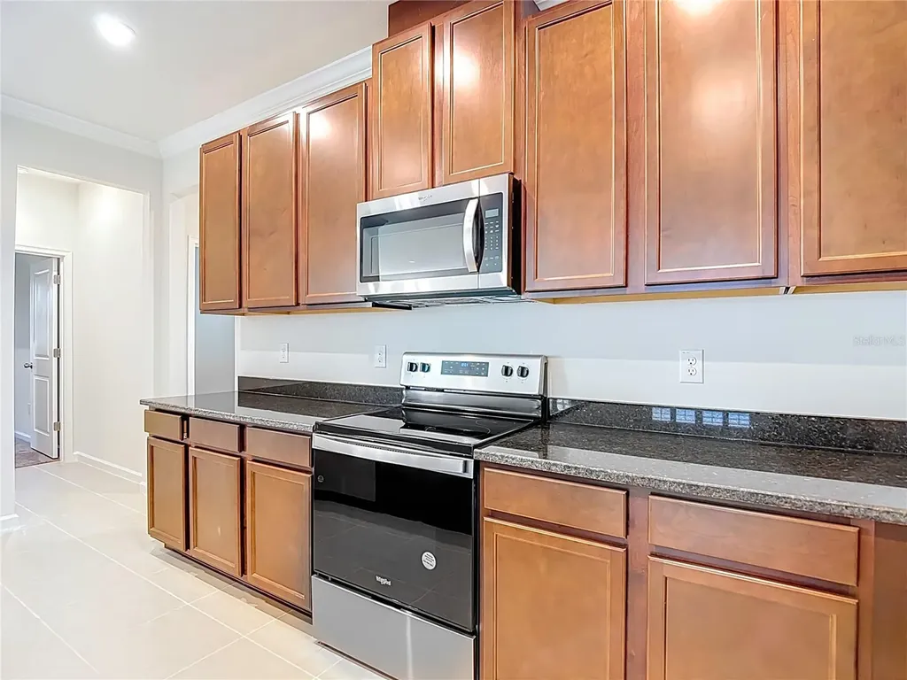 2477 Water Willow Drive Lutz FL 33558