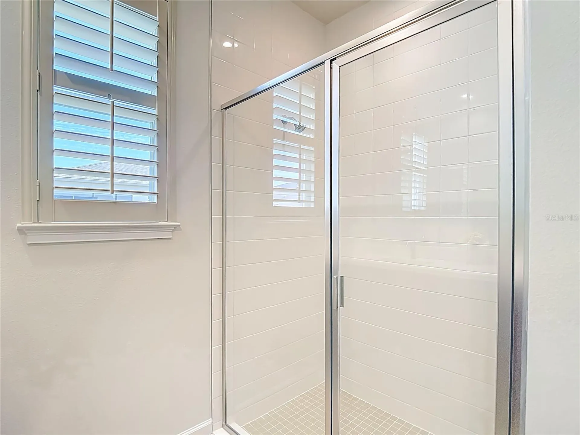 2477 Water Willow Drive Lutz FL 33558