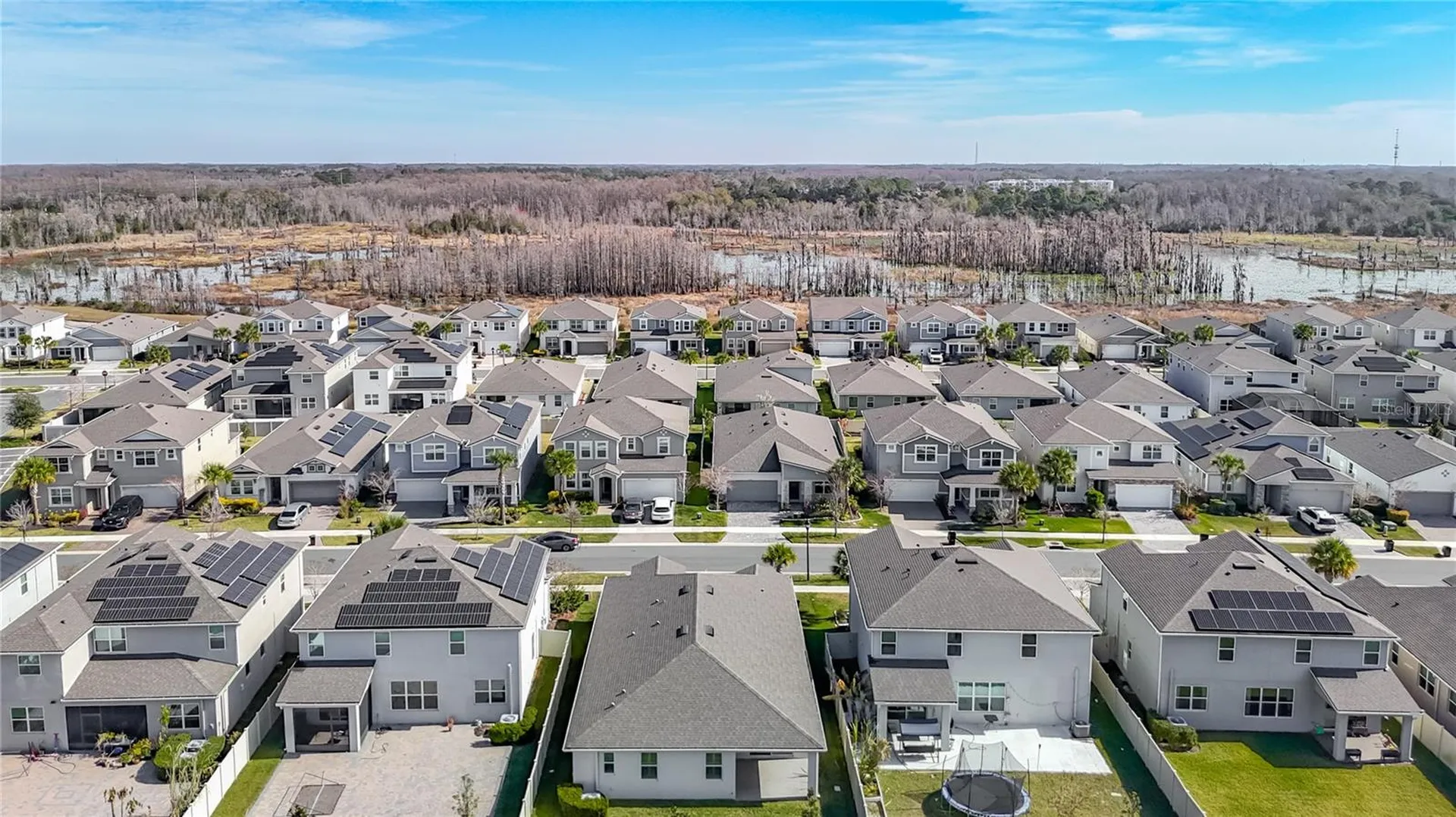 2477 Water Willow Drive Lutz FL 33558