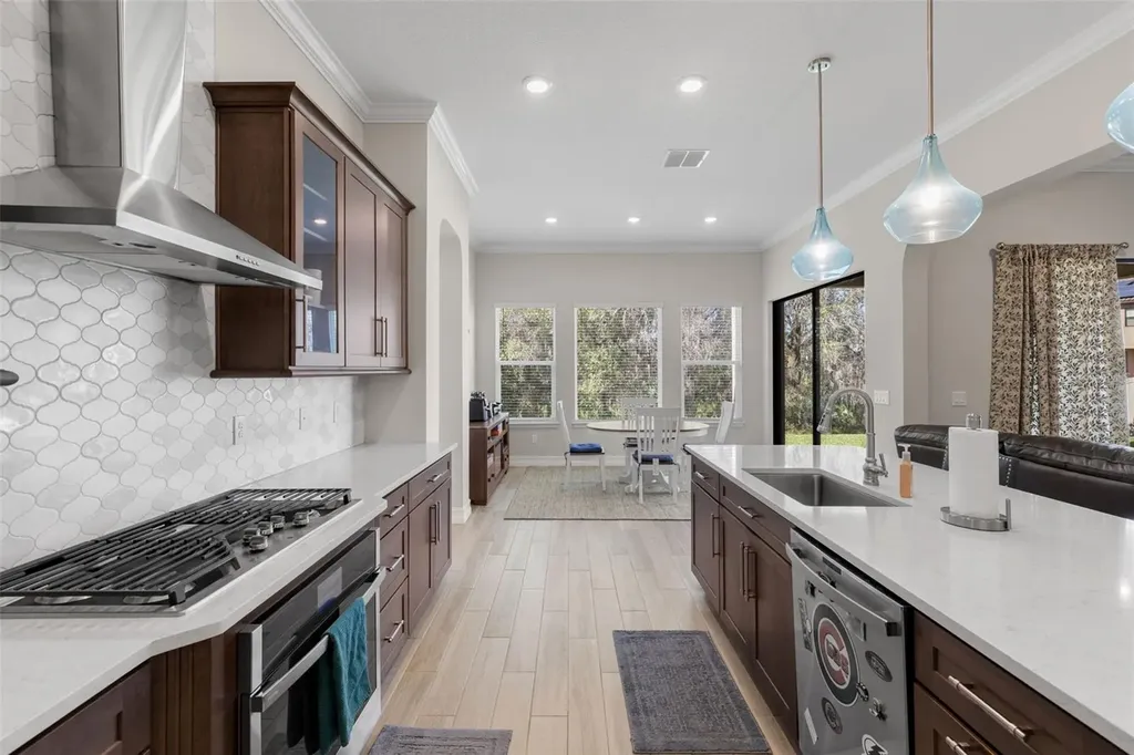 3839 San Vito Drive Wesley Chapel FL 33543