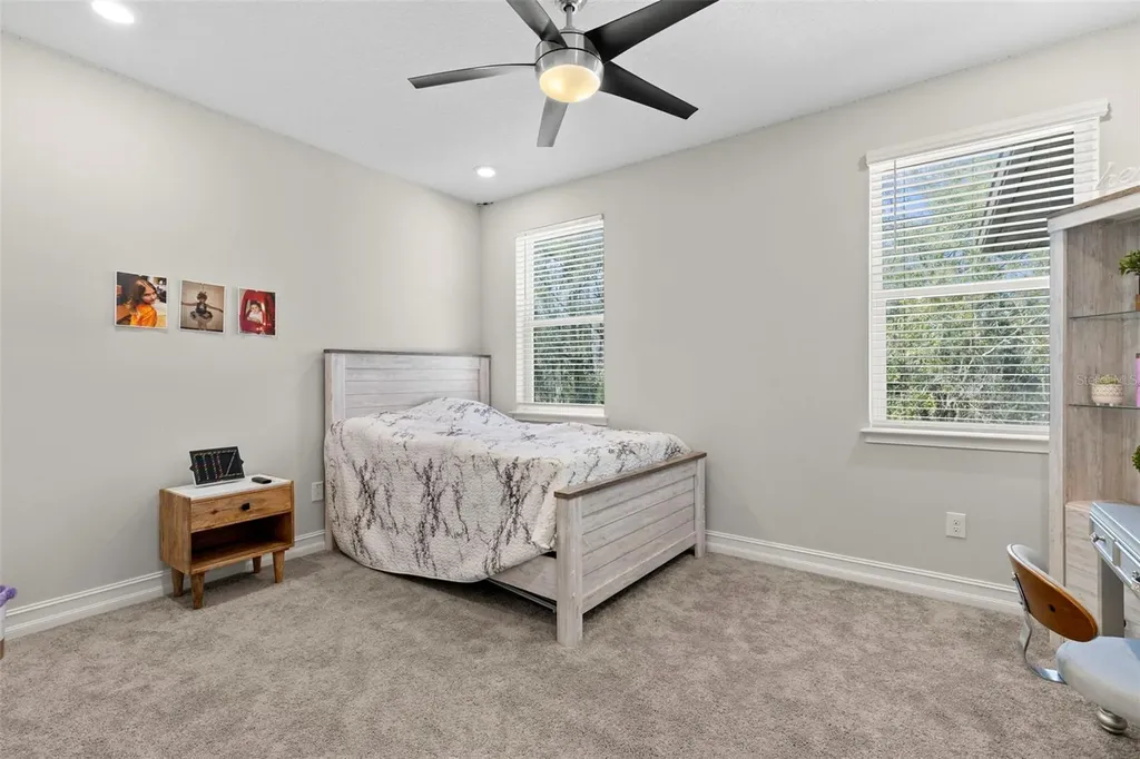 3839 San Vito Drive Wesley Chapel FL 33543