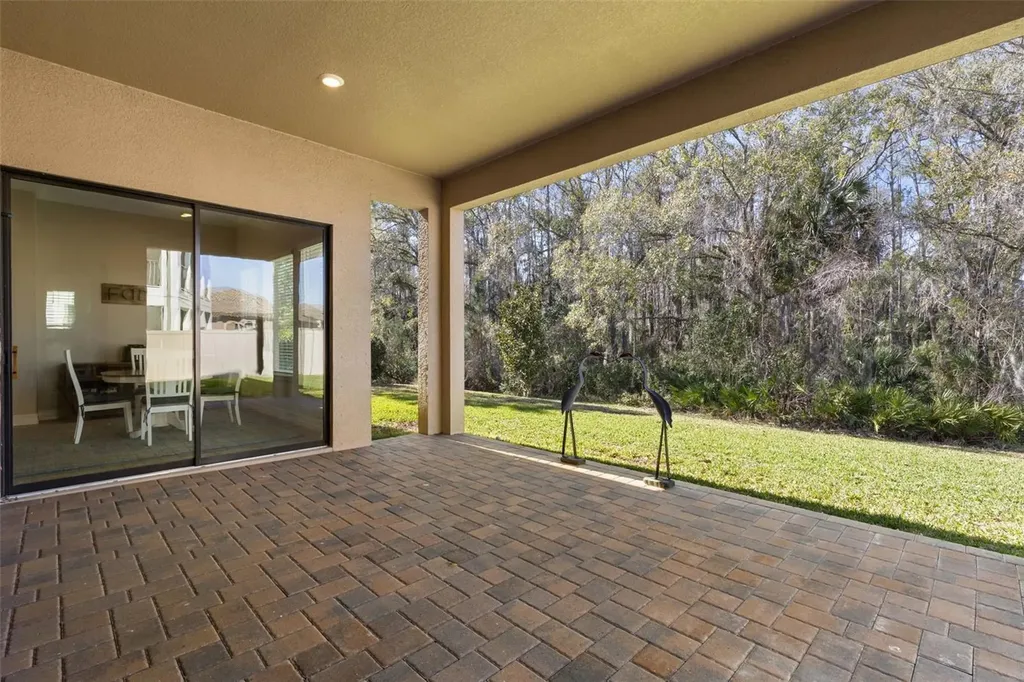 3839 San Vito Drive Wesley Chapel FL 33543