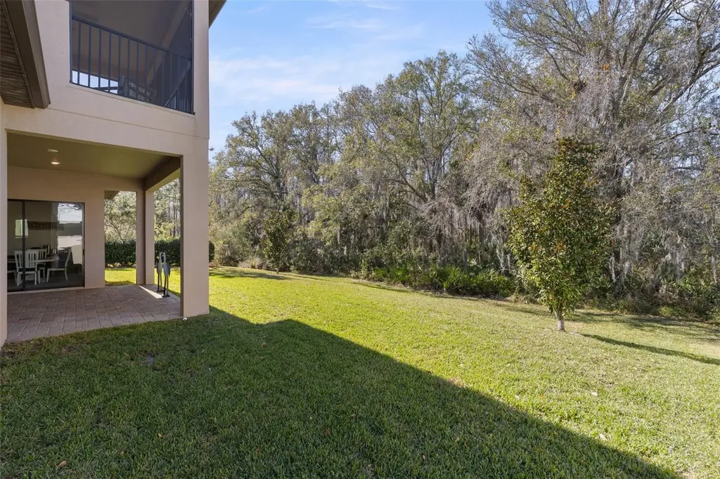 3839 San Vito Drive Wesley Chapel FL 33543
