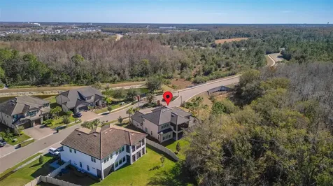 3839 San Vito Drive Wesley Chapel FL 33543