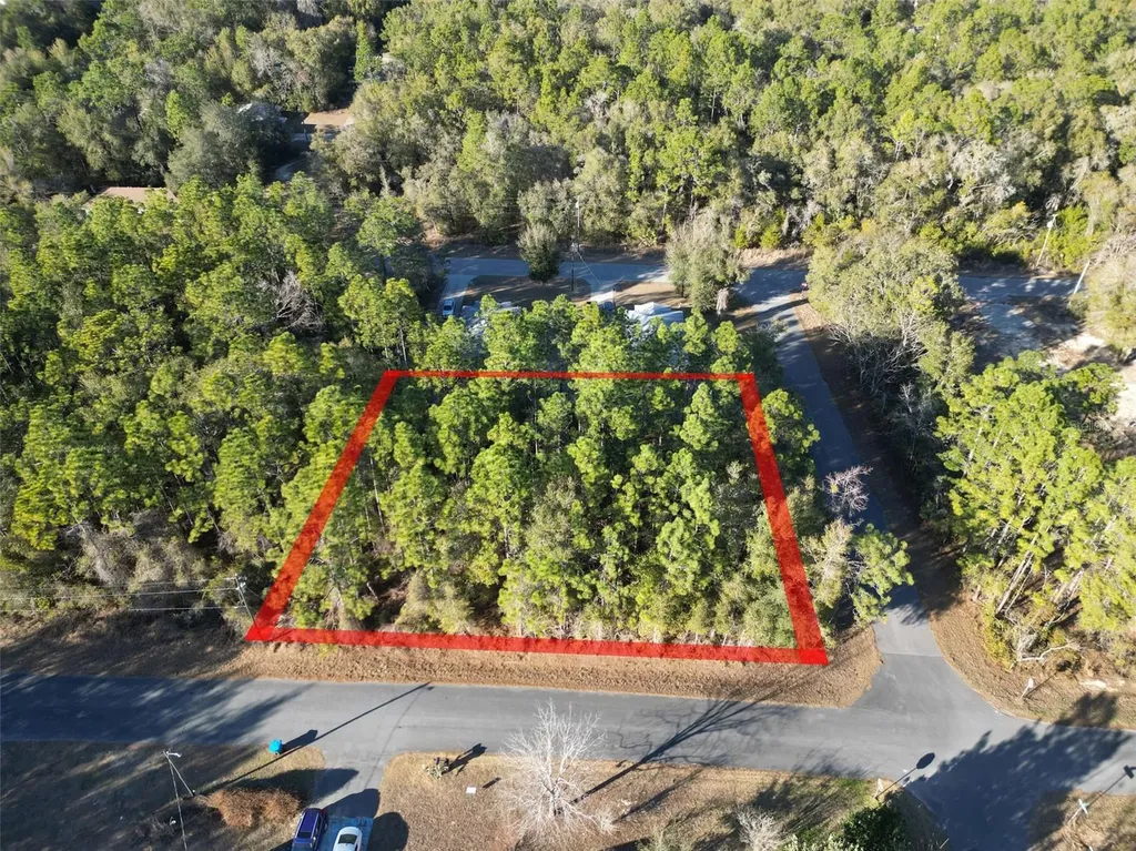 3153 E May Street Inverness FL 34453