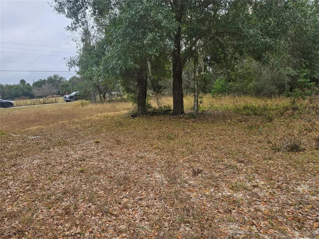 SE Highway 42 Weirsdale FL 32195