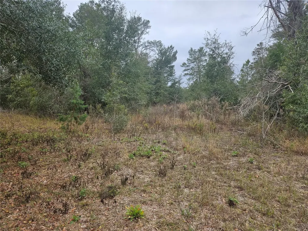 SE Highway 42 Weirsdale FL 32195