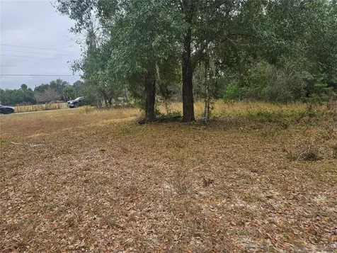 SE Highway 42 Weirsdale FL 32195