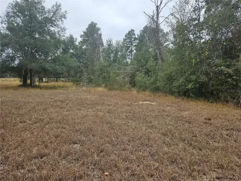SE Highway 42 Weirsdale FL 32195