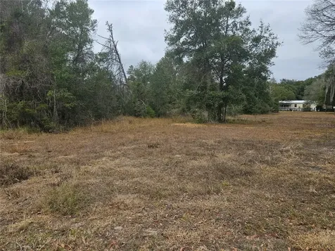 SE Highway 42 Weirsdale FL 32195