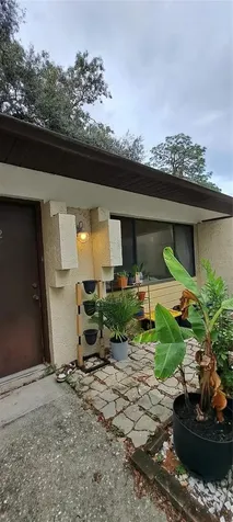 2508 SW 35th Place Gainesville FL 32608