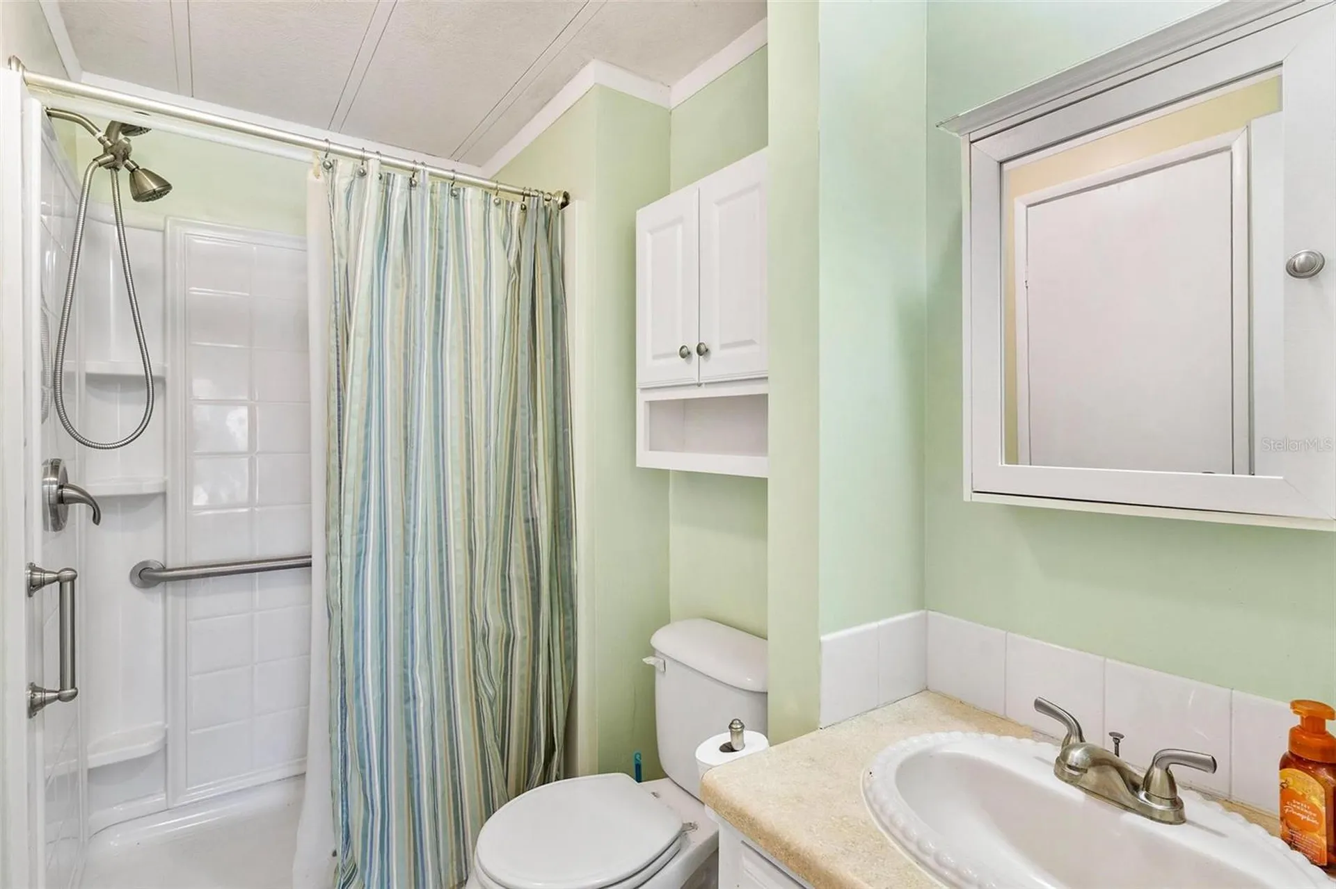 2461 Karen Drive Mount Dora FL 32757