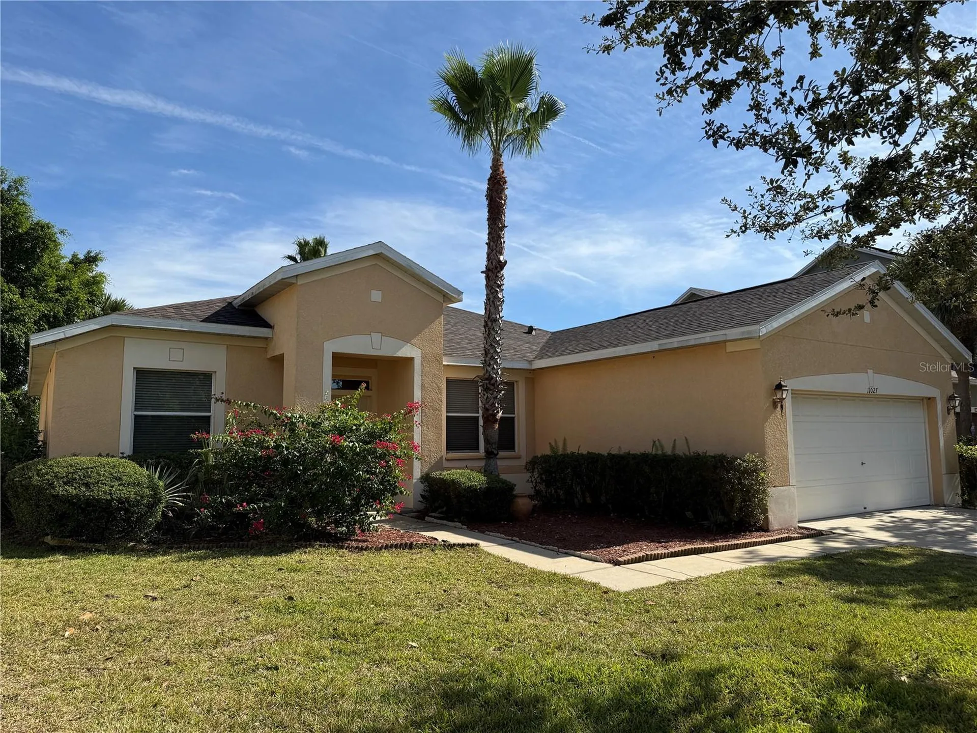 11027 Holly Cone Drive Riverview FL 33569