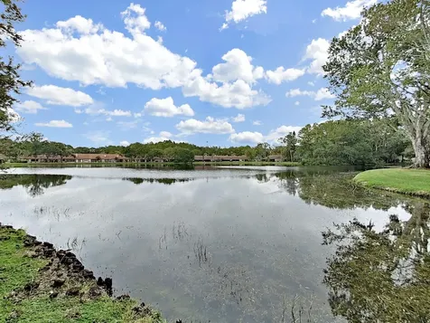 3451 Mermoor Drive Palm Harbor FL 34685