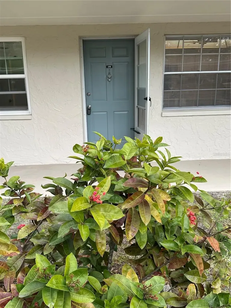 821 Patricia Avenue Dunedin FL 34698