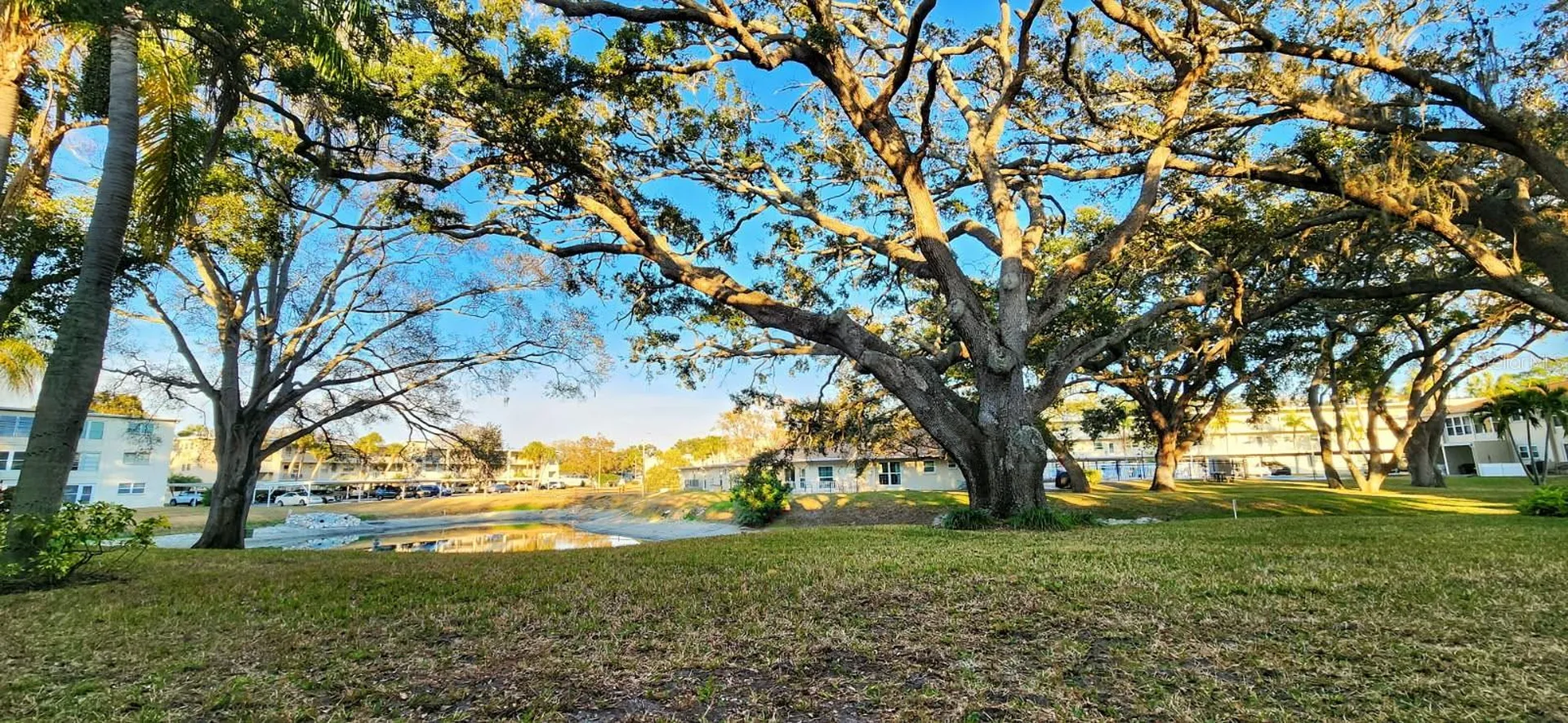 821 Patricia Avenue Dunedin FL 34698