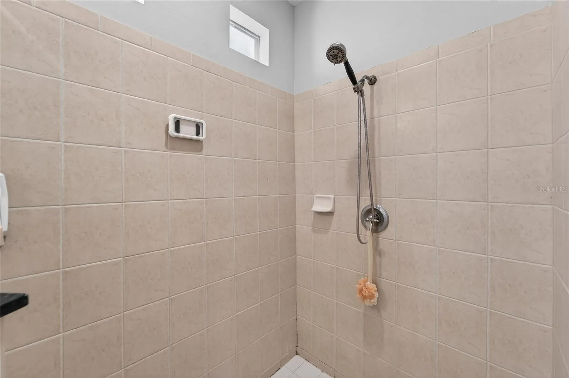 5241 Brighton Shore Drive Apollo Beach FL 33572