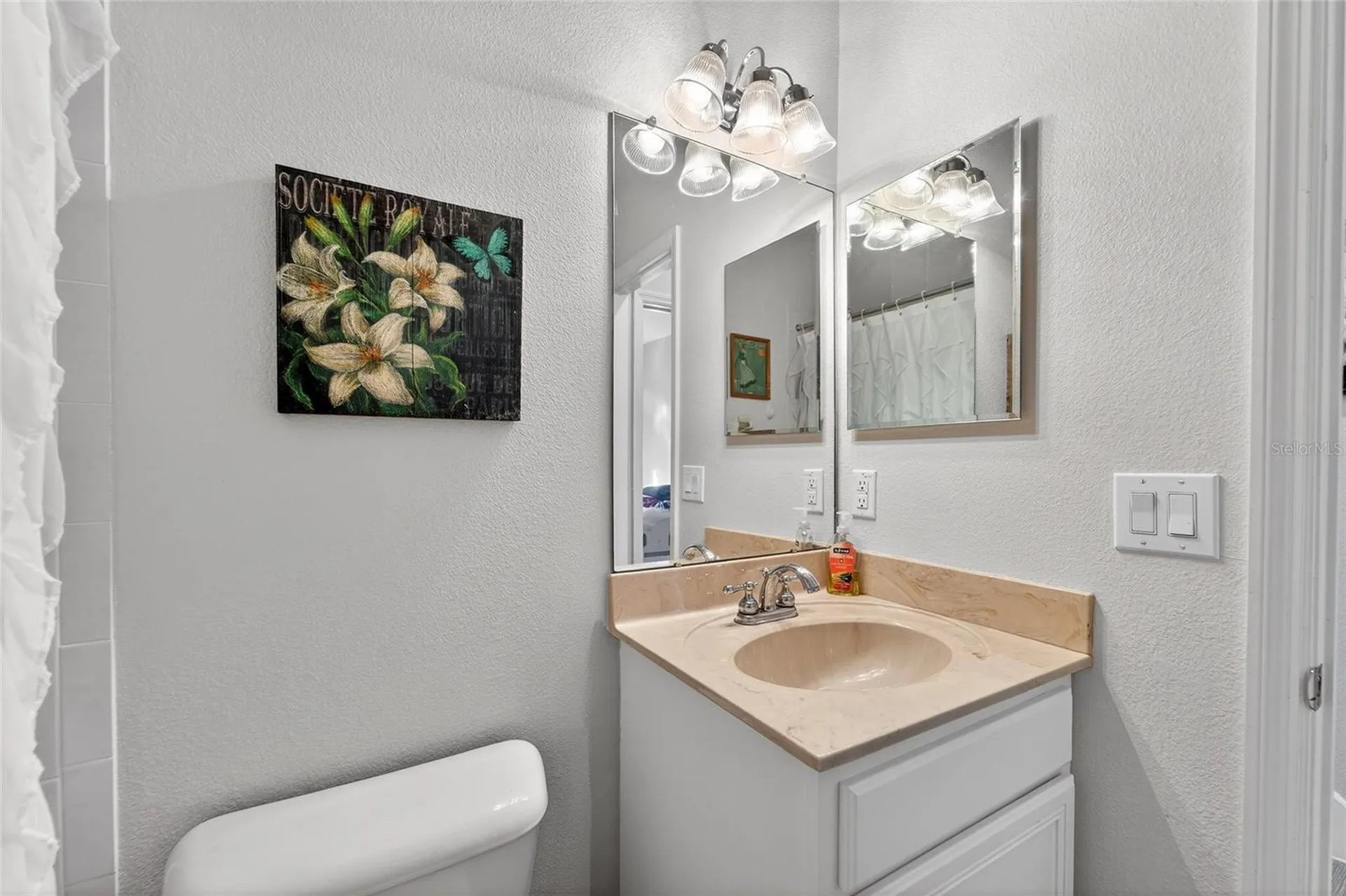 5241 Brighton Shore Drive Apollo Beach FL 33572