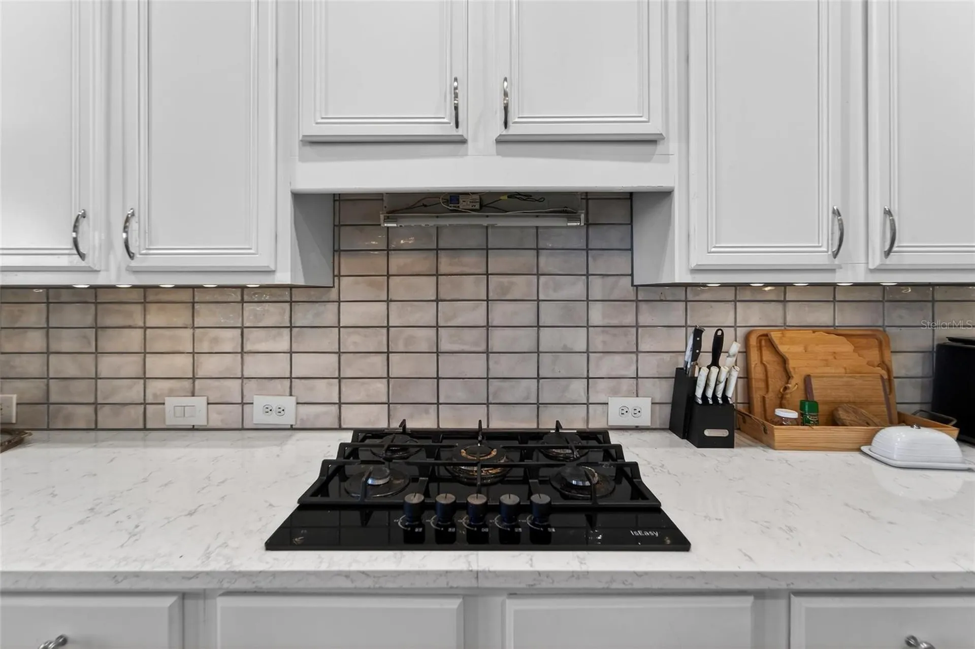 5241 Brighton Shore Drive Apollo Beach FL 33572