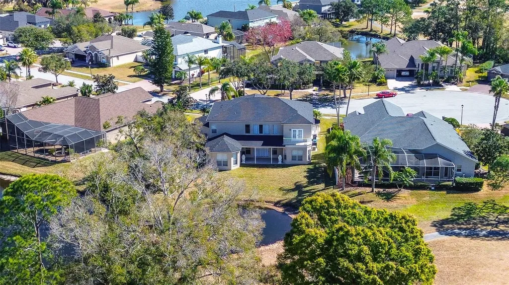15906 Prince William Place Odessa FL 33556