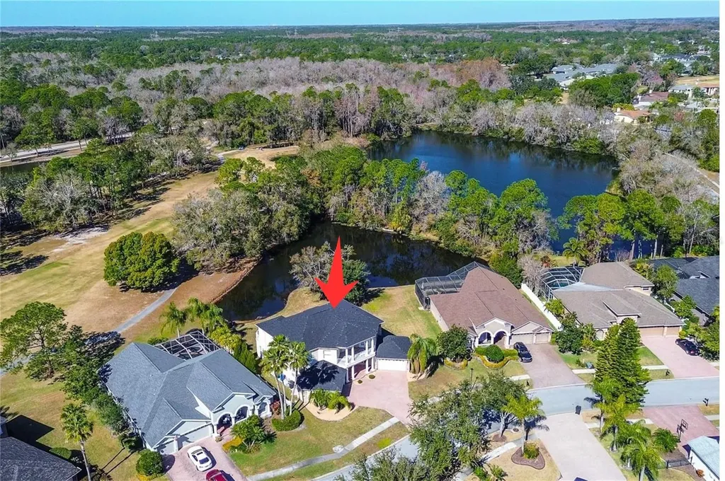 15906 Prince William Place Odessa FL 33556