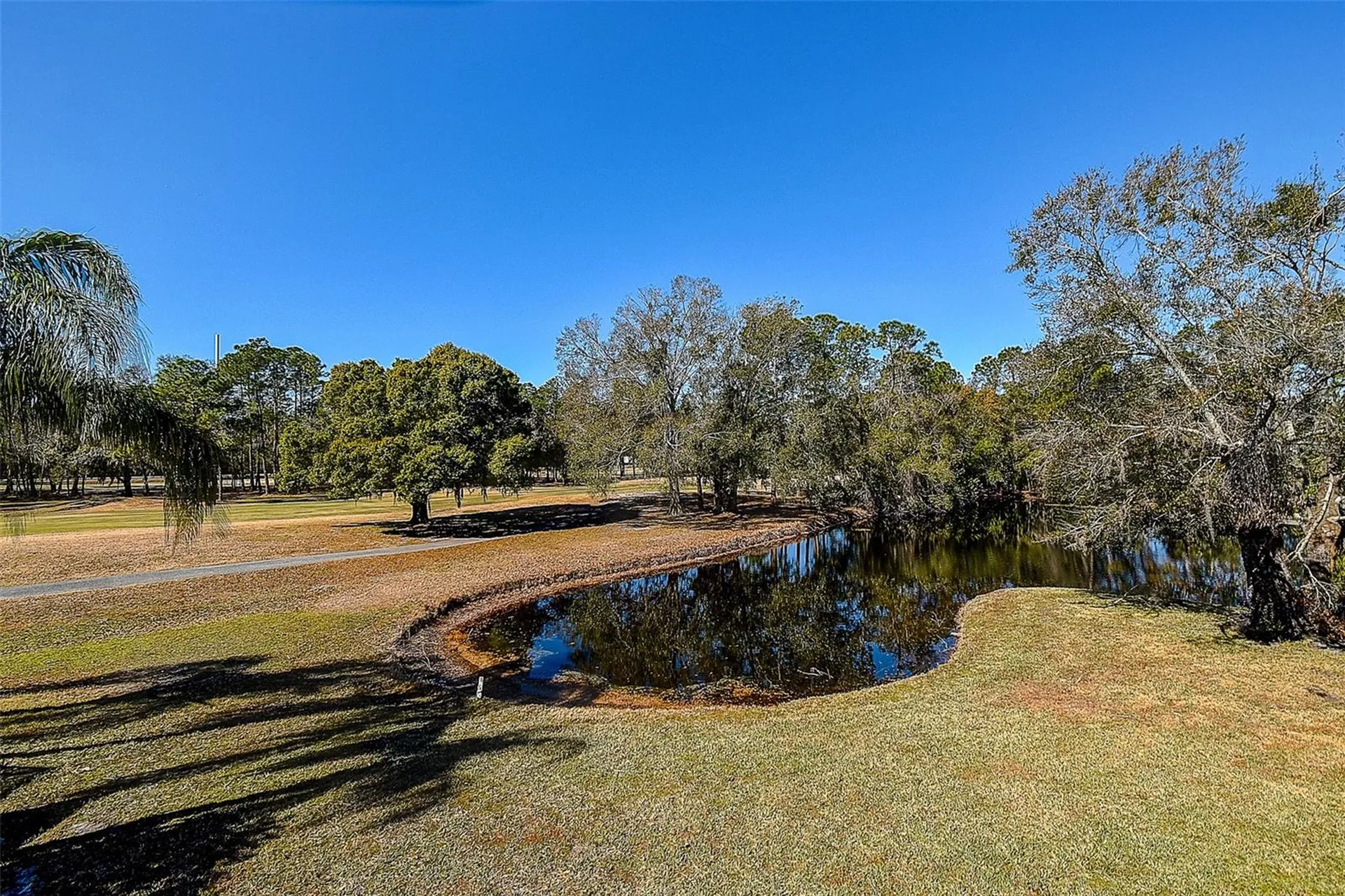 15906 Prince William Place Odessa FL 33556