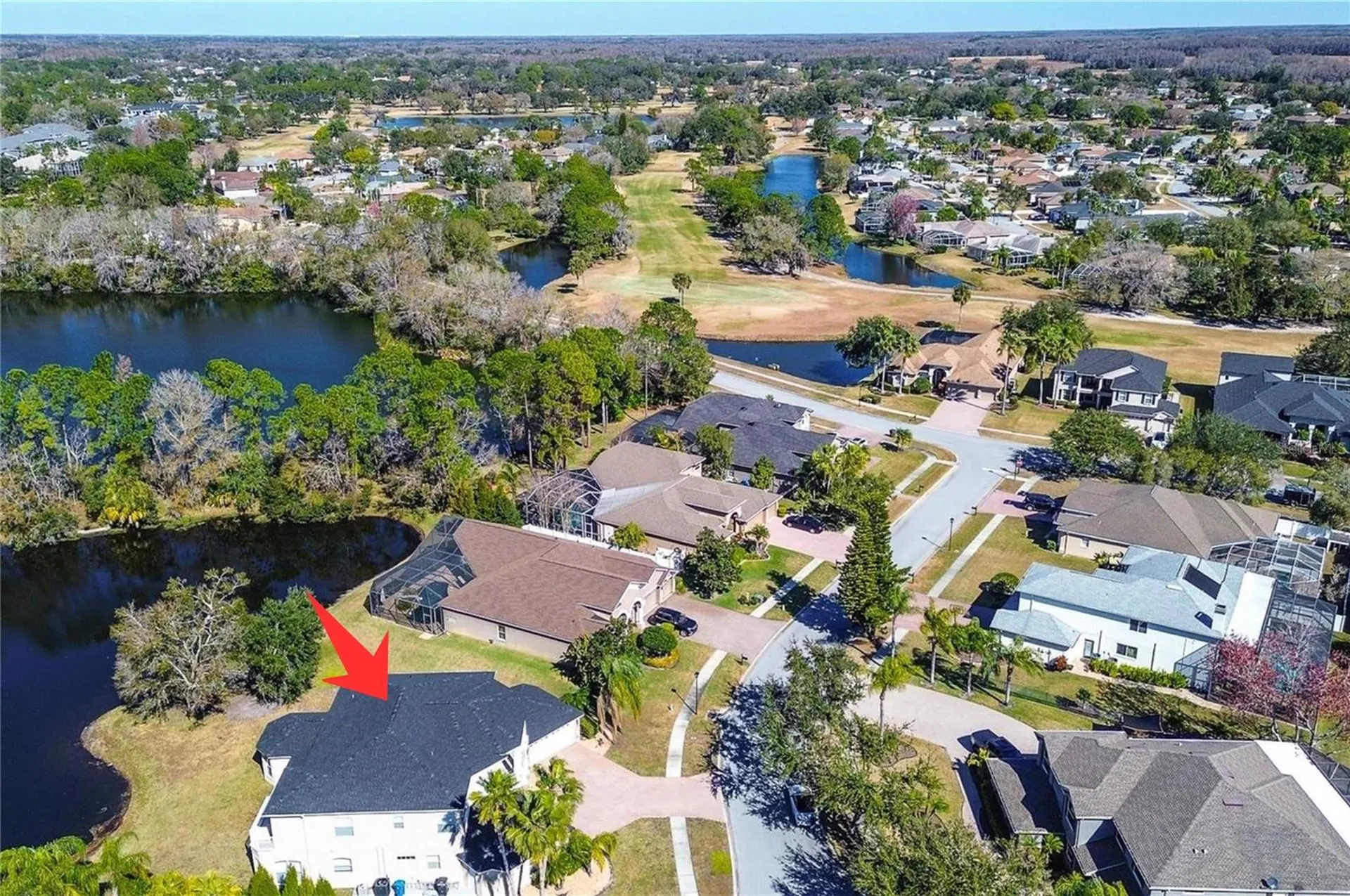 15906 Prince William Place Odessa FL 33556