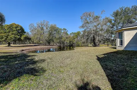 15906 Prince William Place Odessa FL 33556