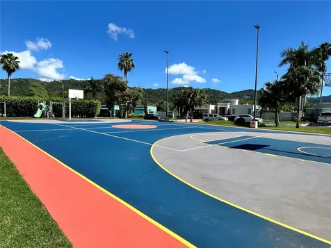 345 Calle Tulipan Caguas PR 00725