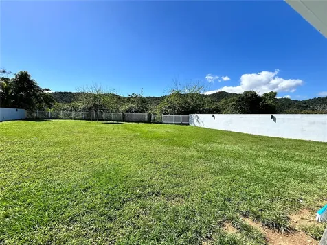 345 Calle Tulipan Caguas PR 00725