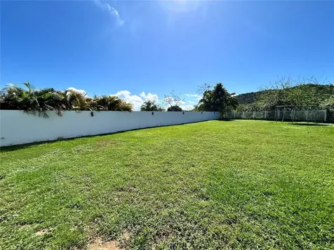 345 Calle Tulipan Caguas PR 00725