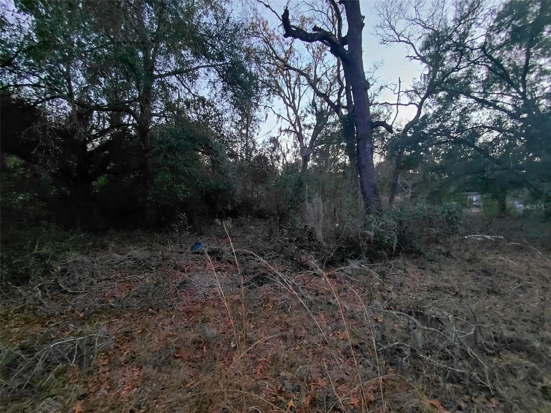 12139 Rutherford Lane Hudson FL 34669