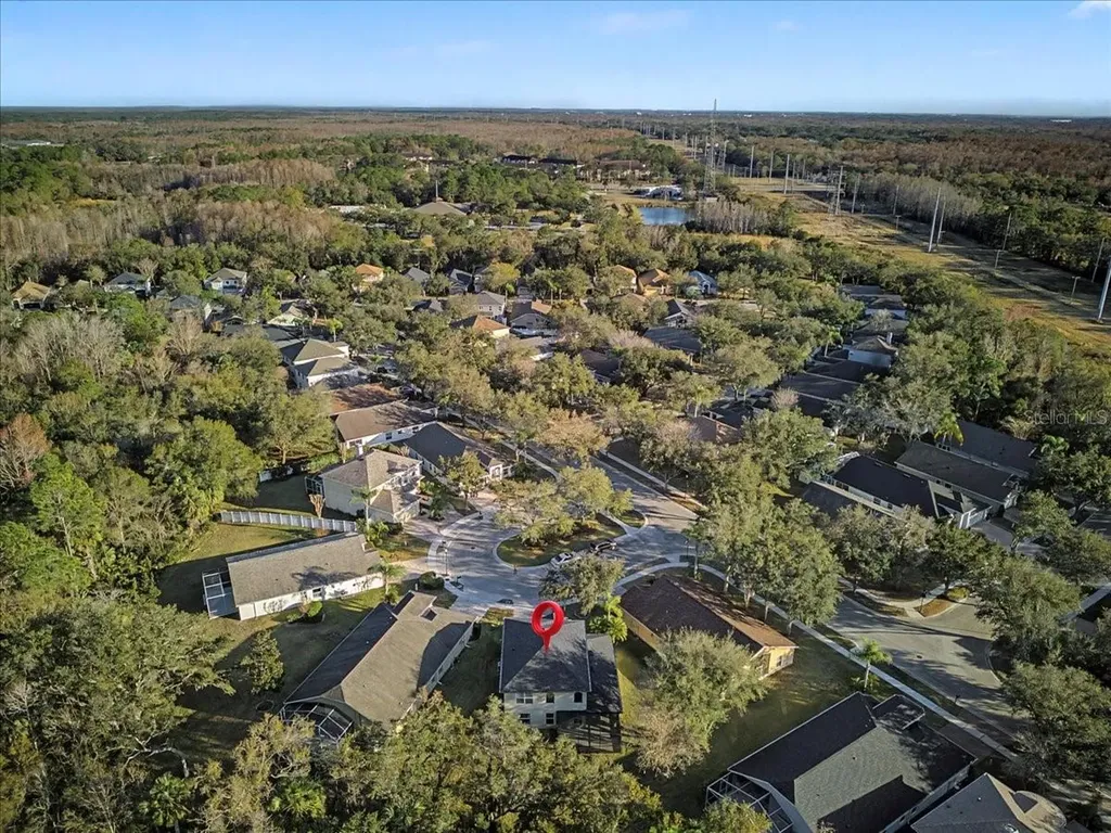 16204 Hampton Trace Court Tampa FL 33647