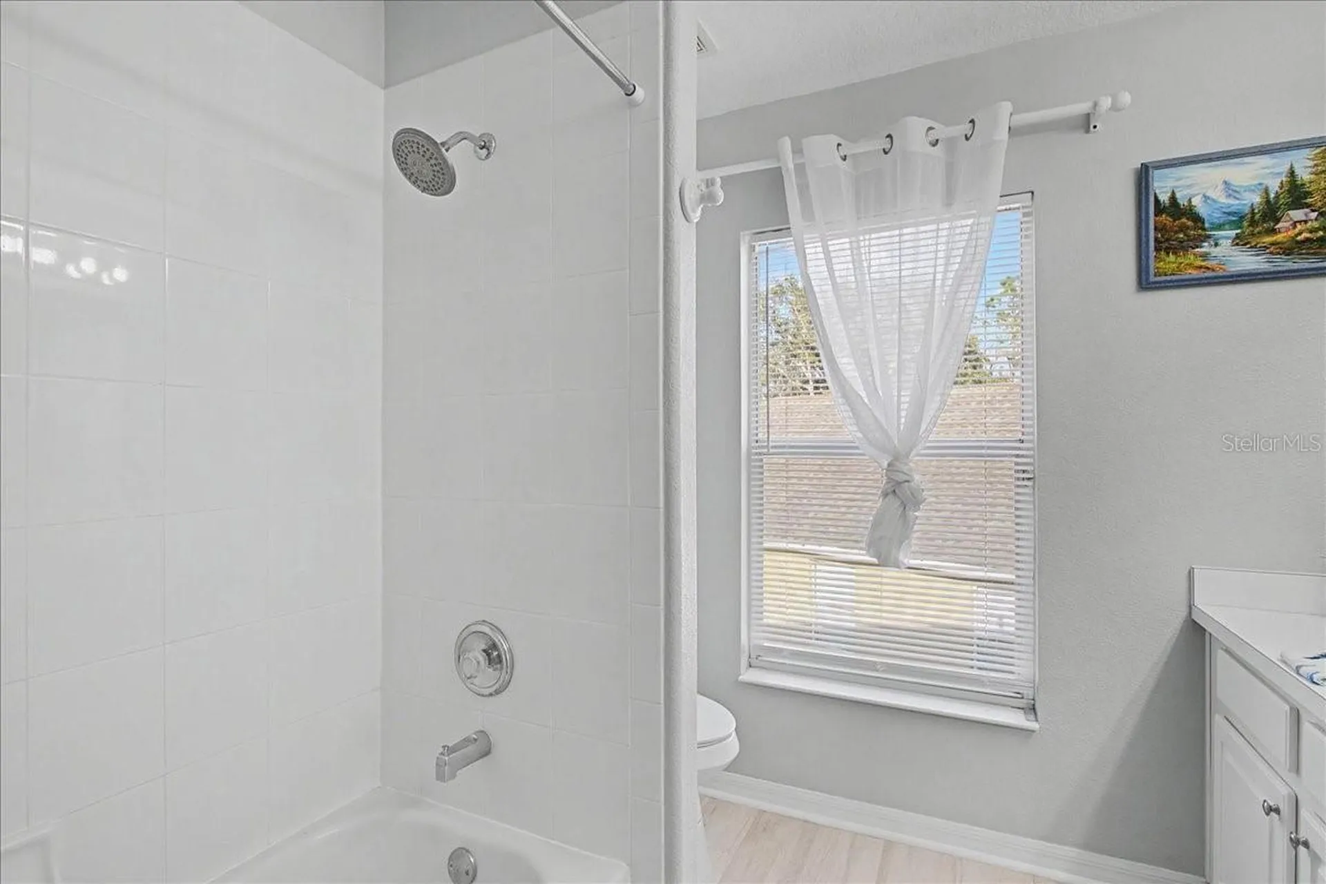 16204 Hampton Trace Court Tampa FL 33647