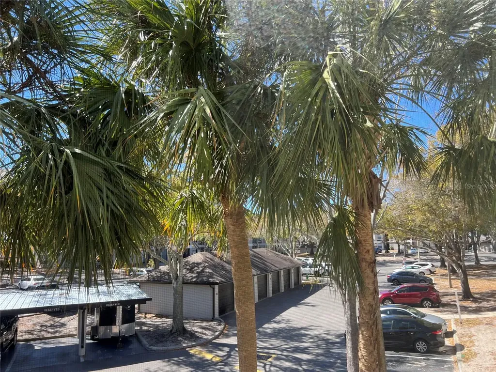 8915 Latrec Avenue Orlando FL 32819
