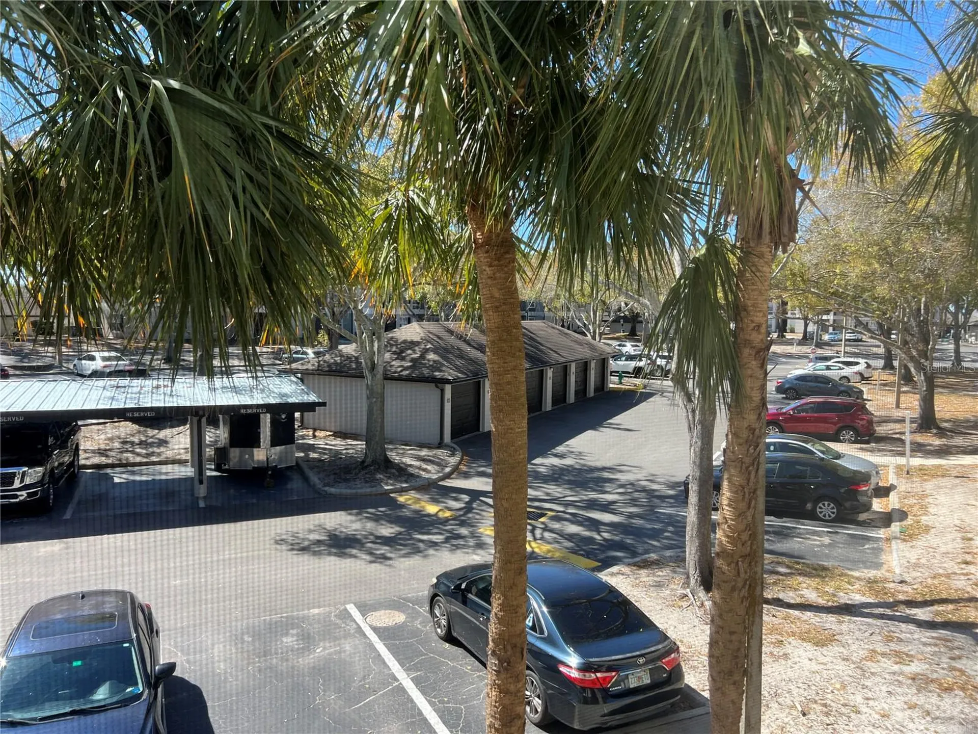 8915 Latrec Avenue Orlando FL 32819