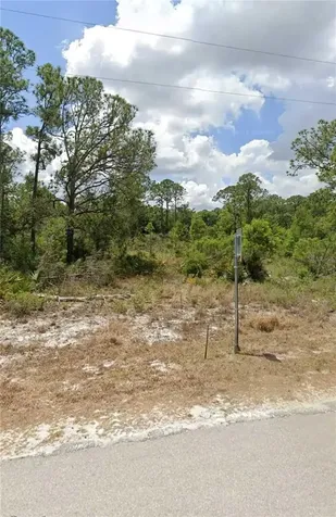 1224 Passion Flower Street Sebring FL 33875