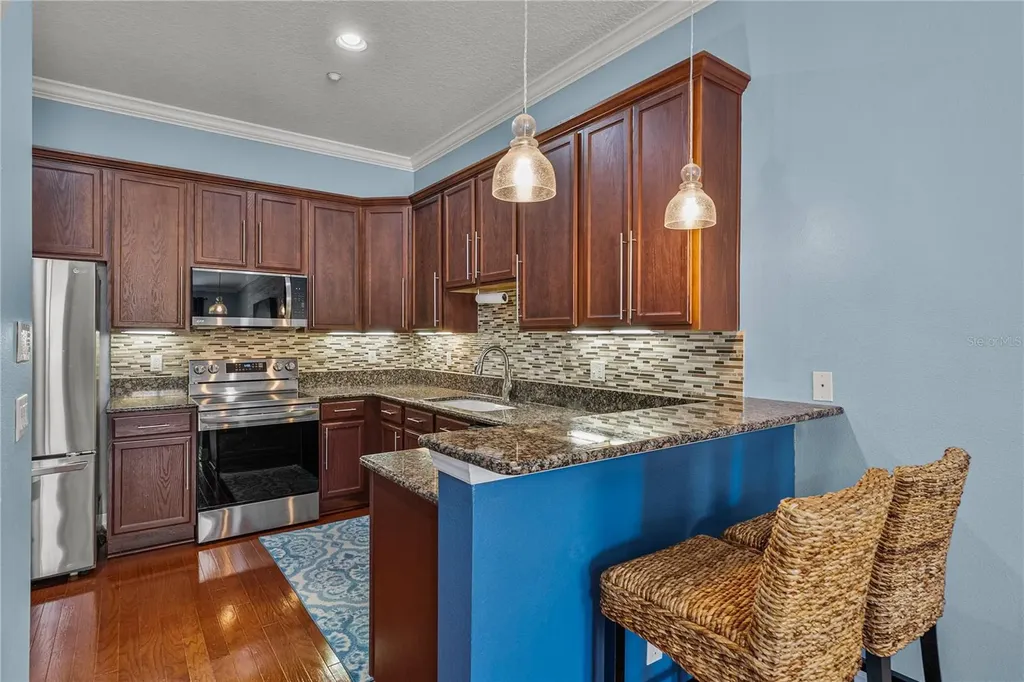 6411 Mayra Shores Lane Apollo Beach FL 33572