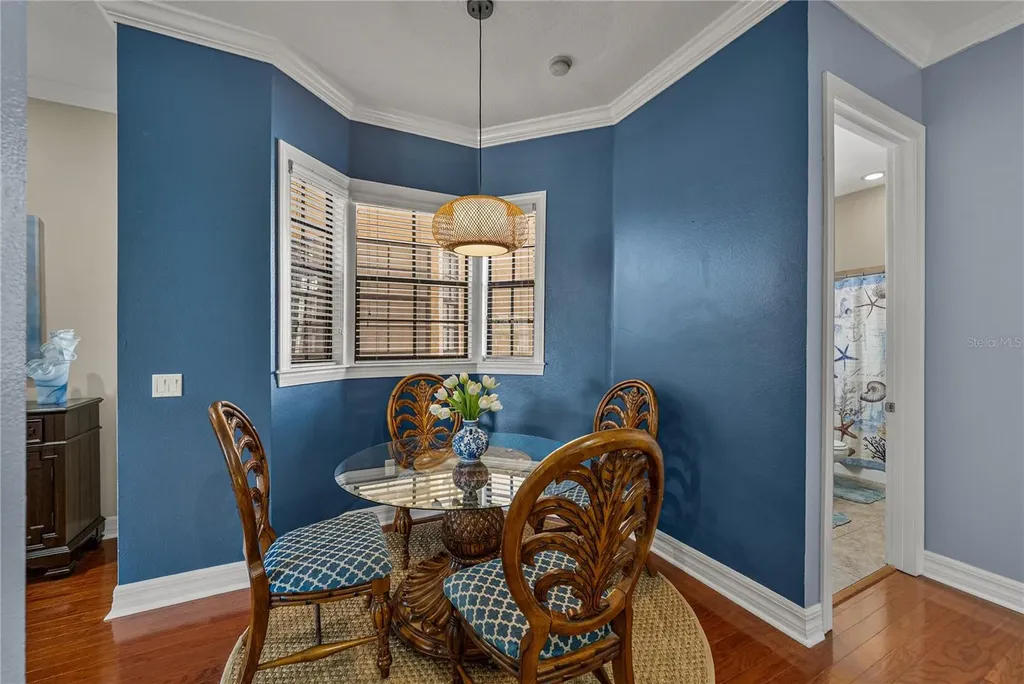 6411 Mayra Shores Lane Apollo Beach FL 33572