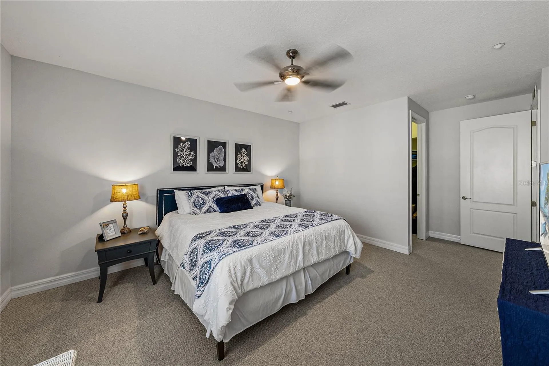 6411 Mayra Shores Lane Apollo Beach FL 33572