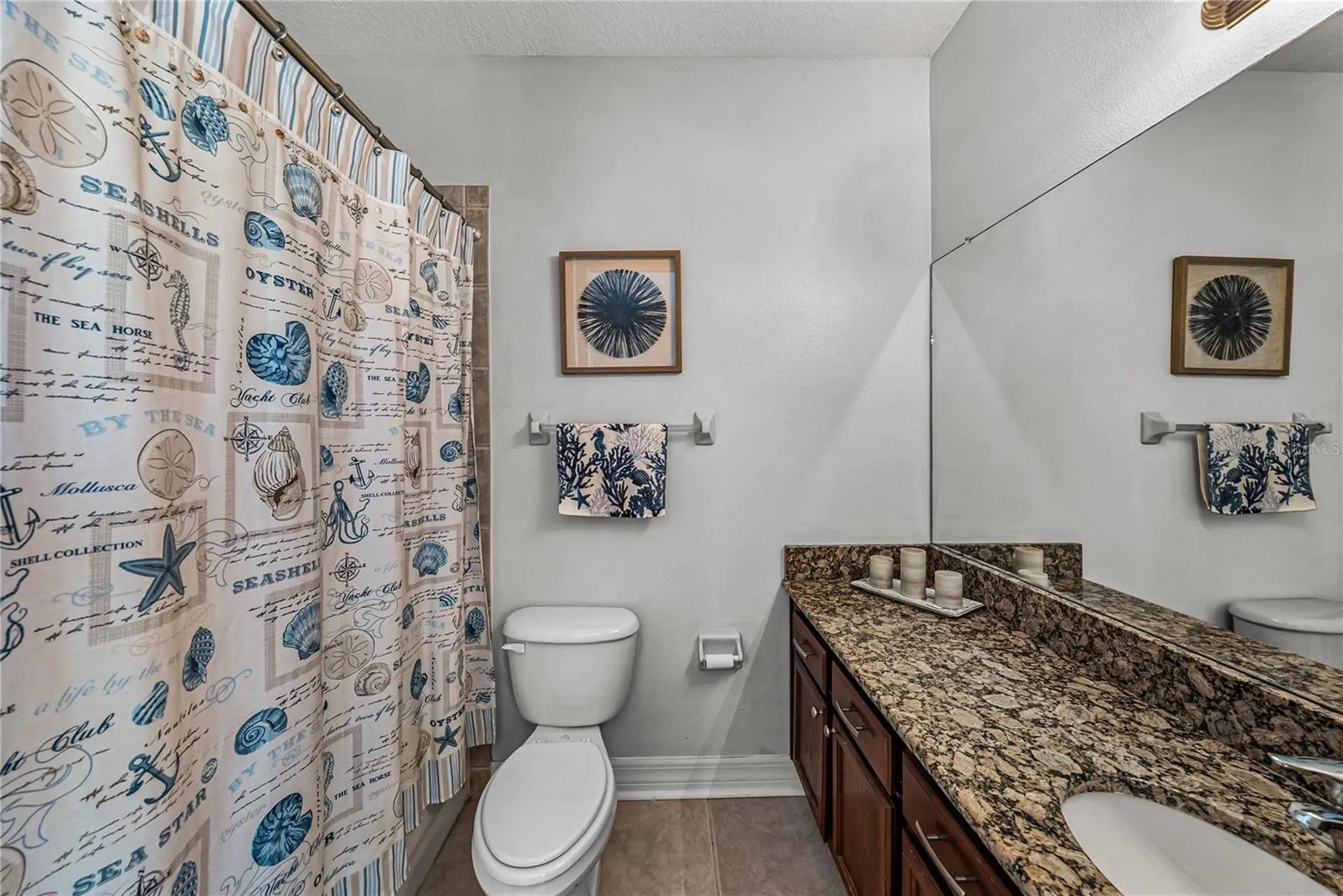 6411 Mayra Shores Lane Apollo Beach FL 33572