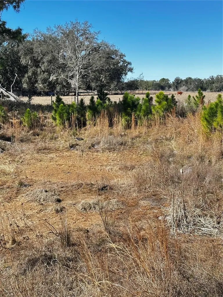 Cr 707 Road Webster FL 33597