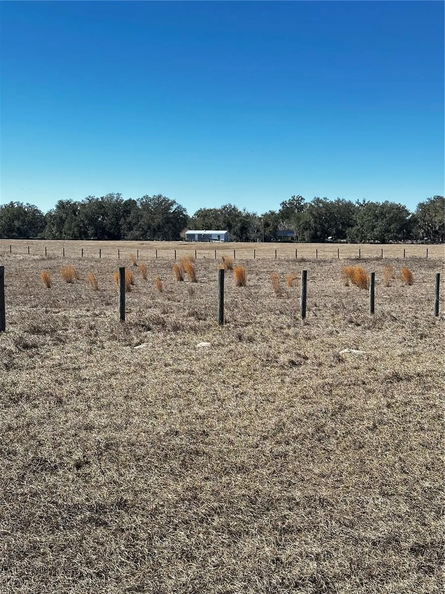 Cr 707 Road Webster FL 33597